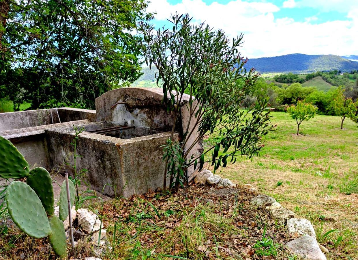 Palombaro Ai Limiti • 67 • Stonehouse旅馆 外观 照片